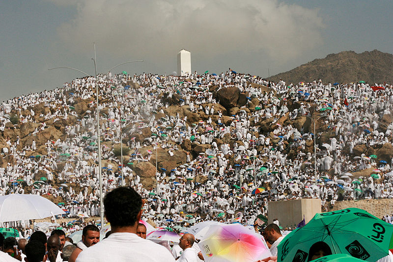 يوم عرفة
