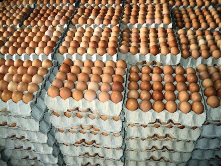 انخفاض أسعار كرتونة البيض